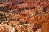Bryce Canyon 13
